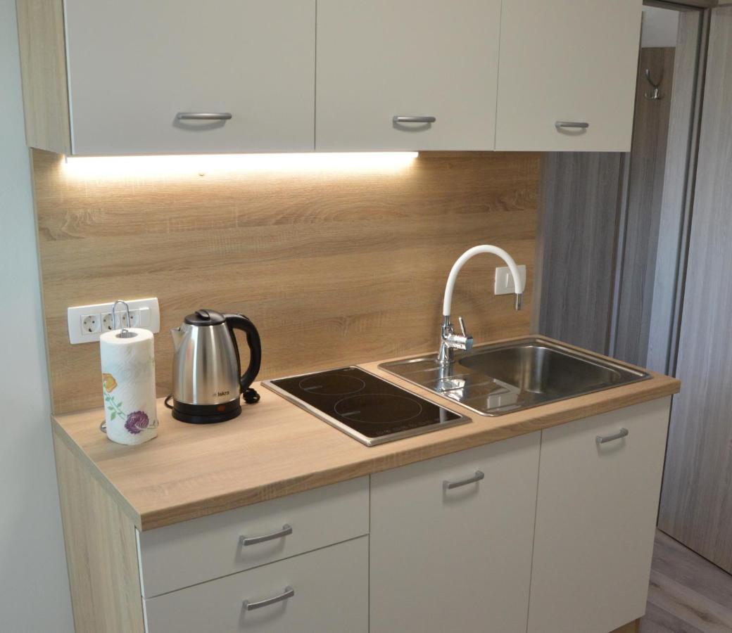 Apartma Vila Zigmund Церкница Экстерьер фото