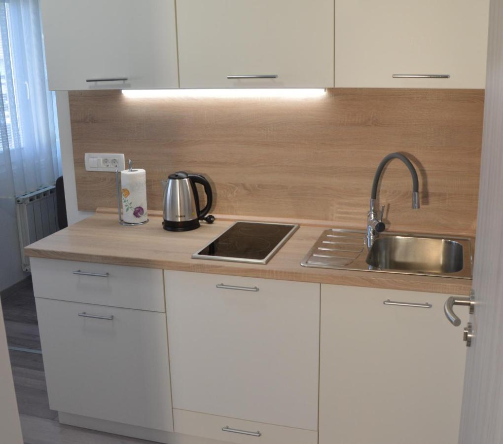 Apartma Vila Zigmund Церкница Экстерьер фото
